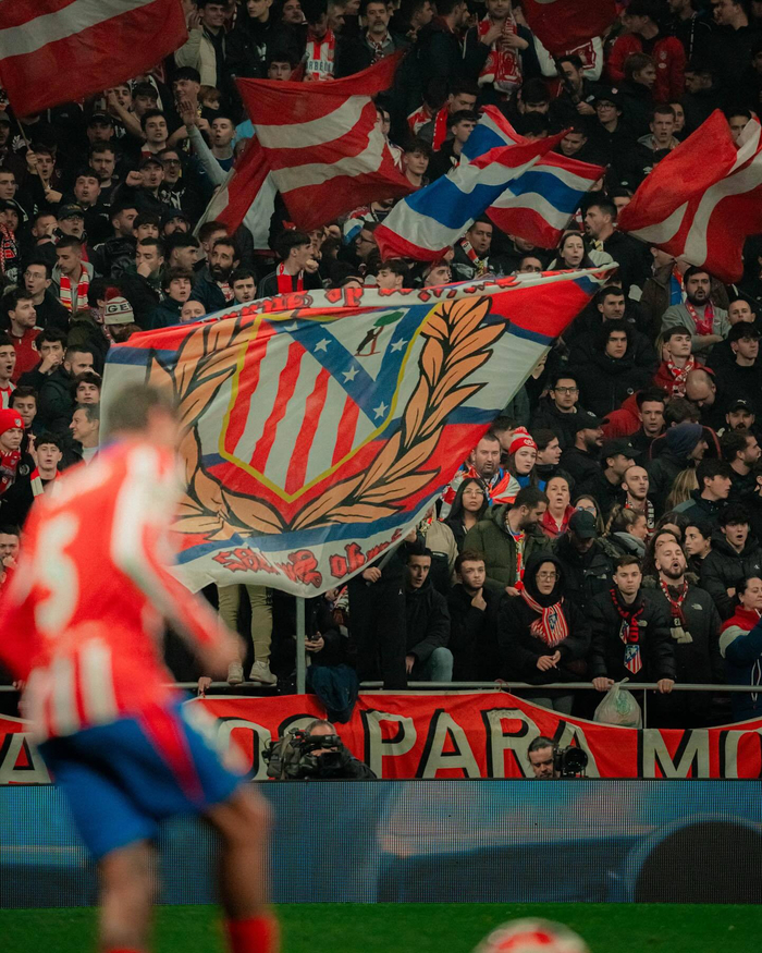 云南玉昆官方总结：莫言前路多荆棘，自有锋芒破雾行（云南玉昆官方总结：纵有荆棘满途，莫言自凭锋芒踏雾而进）